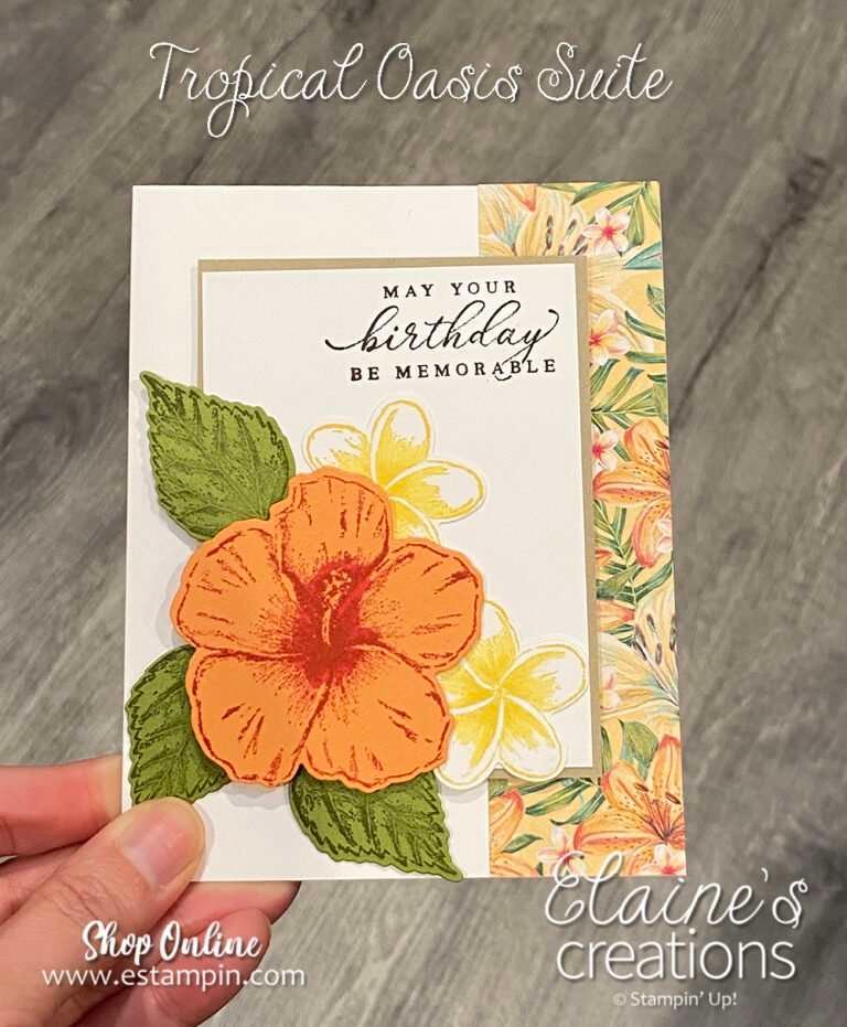 tropical hibiscus birthday card