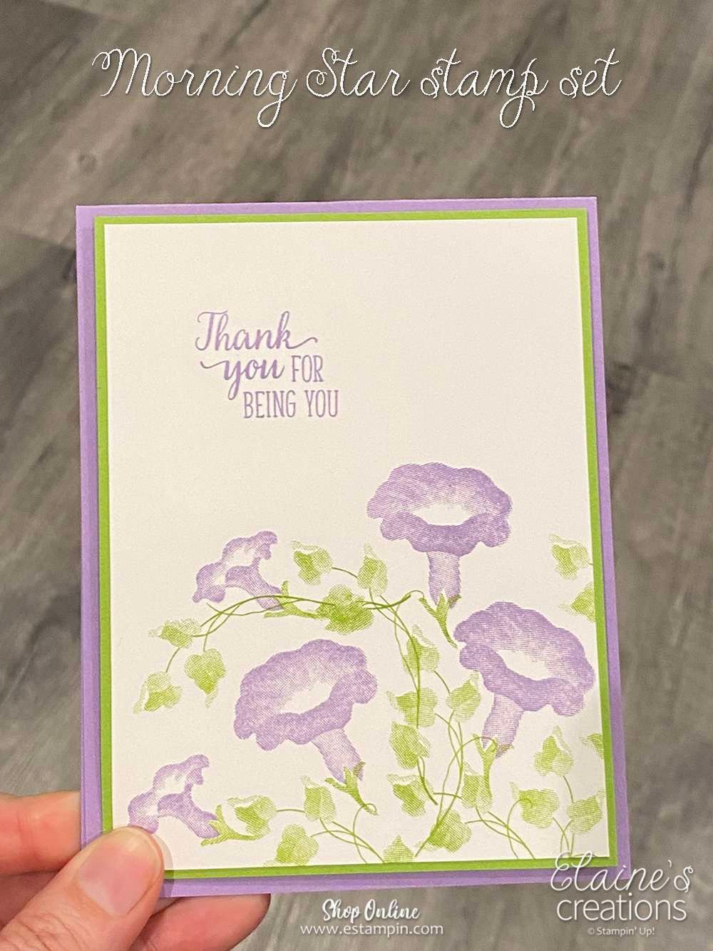 morning glory card