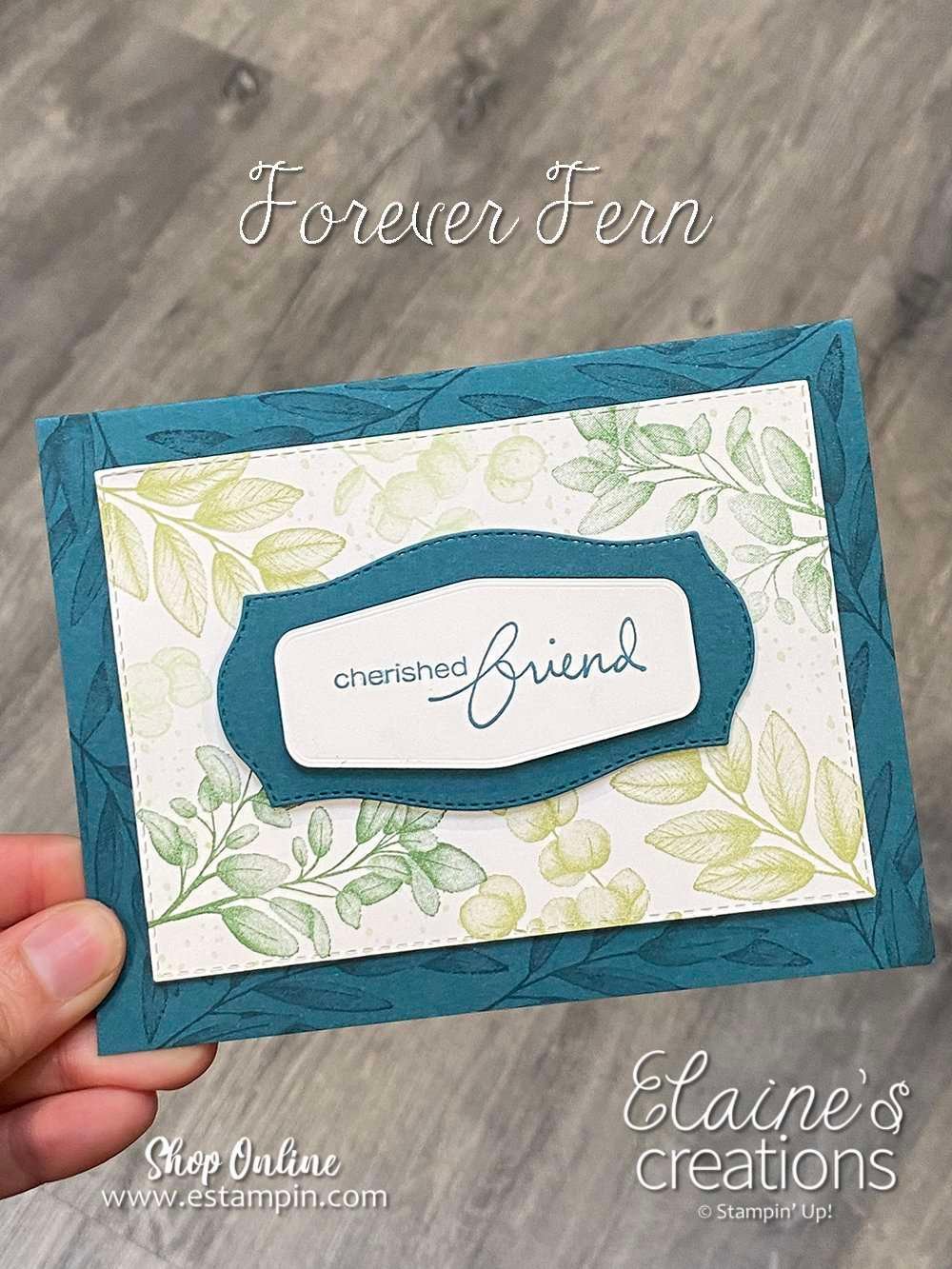 forever fern