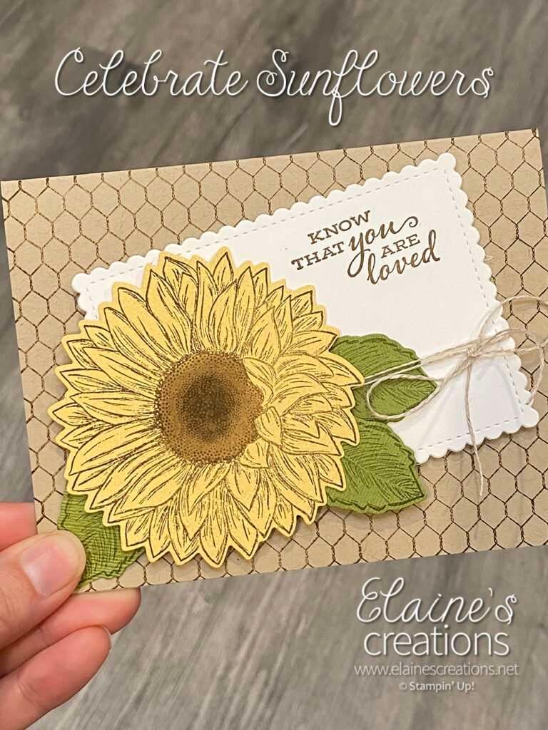 celebrate sunflowers