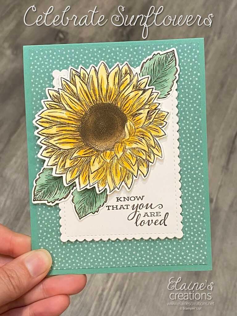 celebrate sunflowers