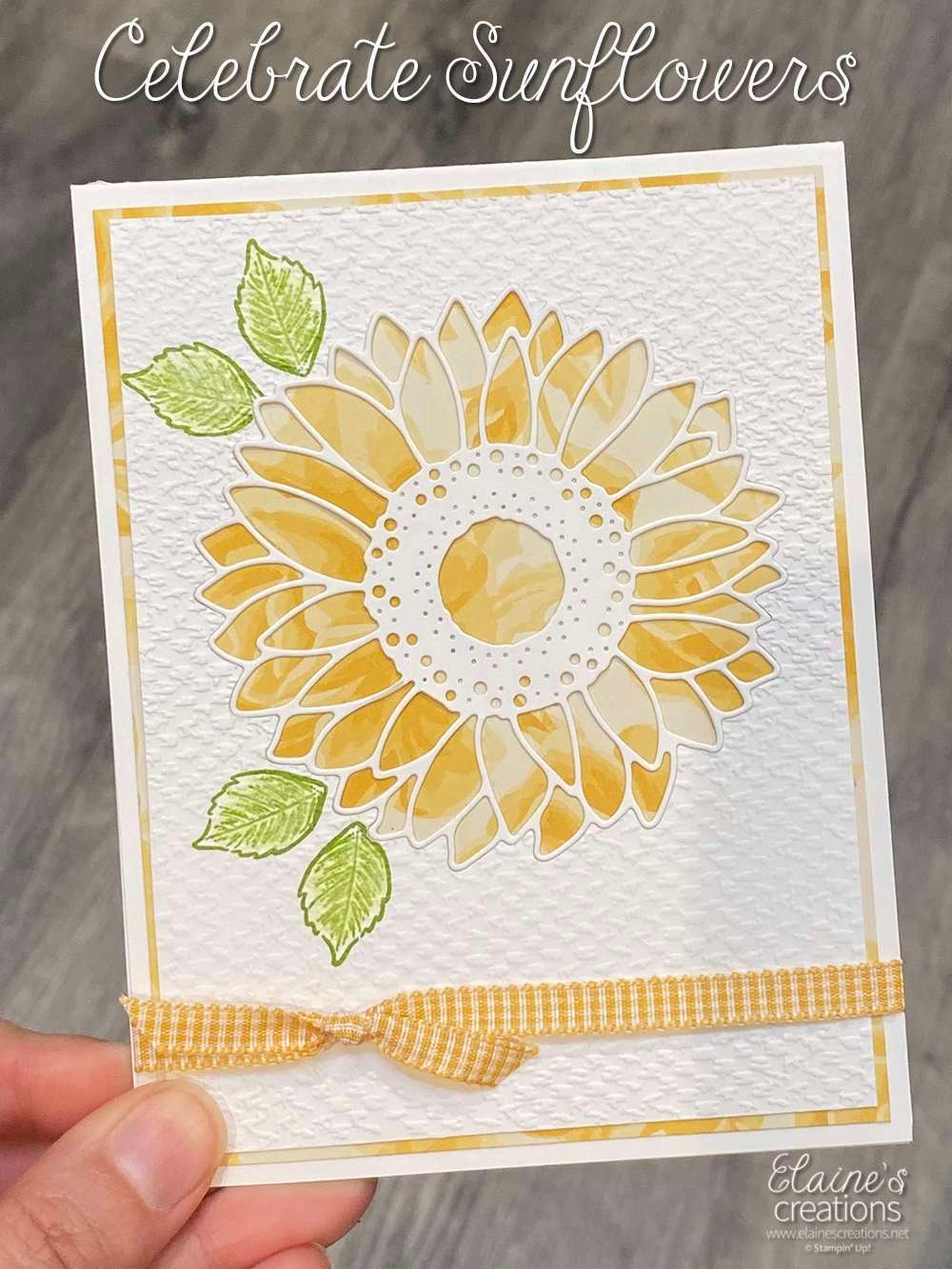 celebrate sunflowers