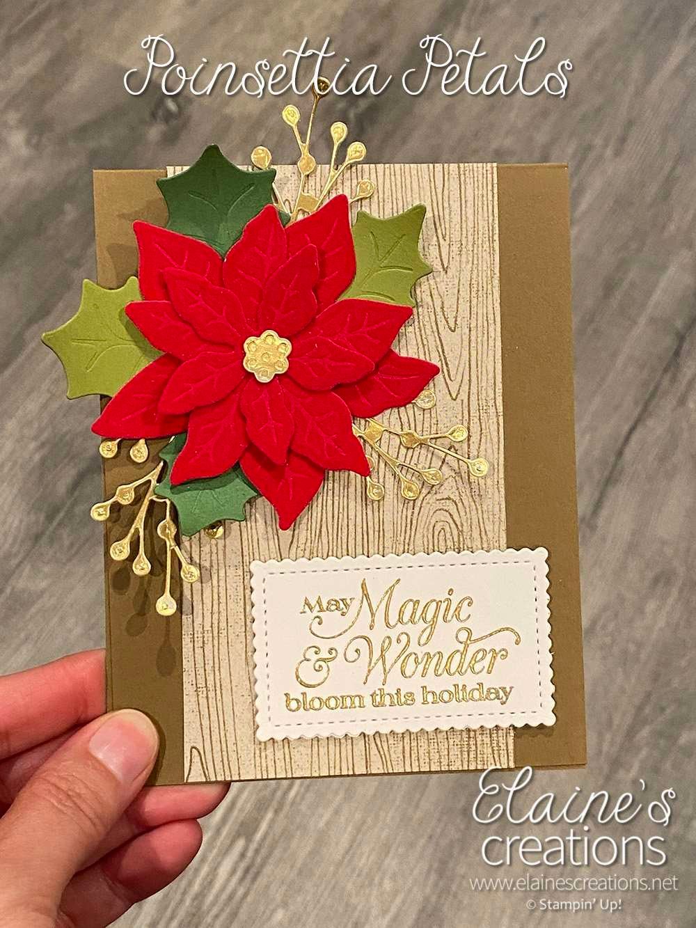 poinsettia petals