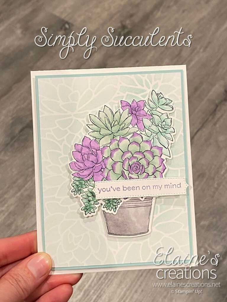 simply succulents