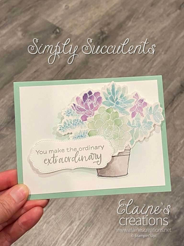 simply succulents