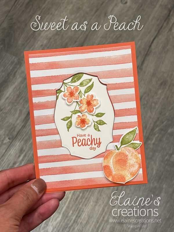 How to Make a Keyhole Card with the Sweet as Peach bundle | Sweet ...