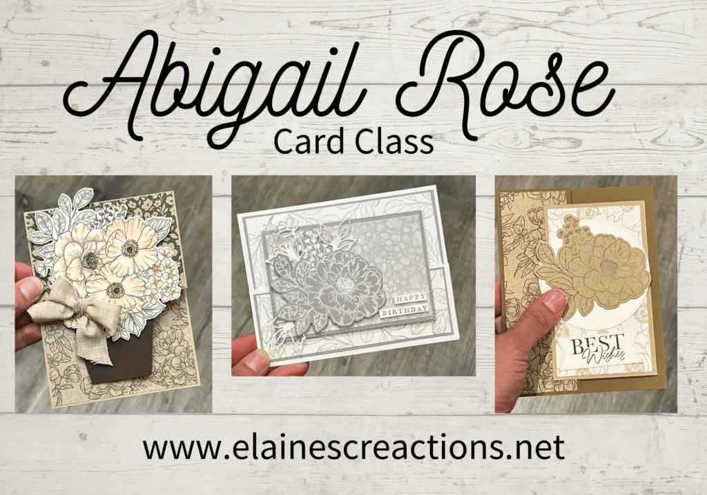 abigail rose