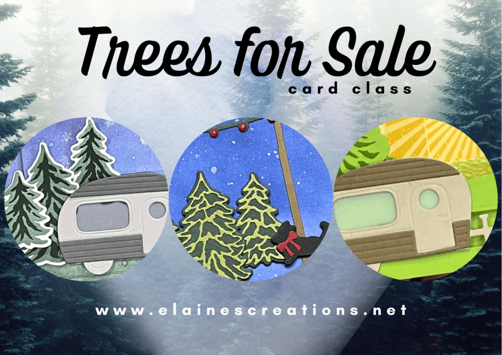 trees for sale