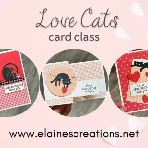 love cats card class