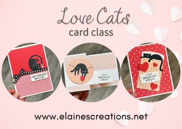 love cats card class