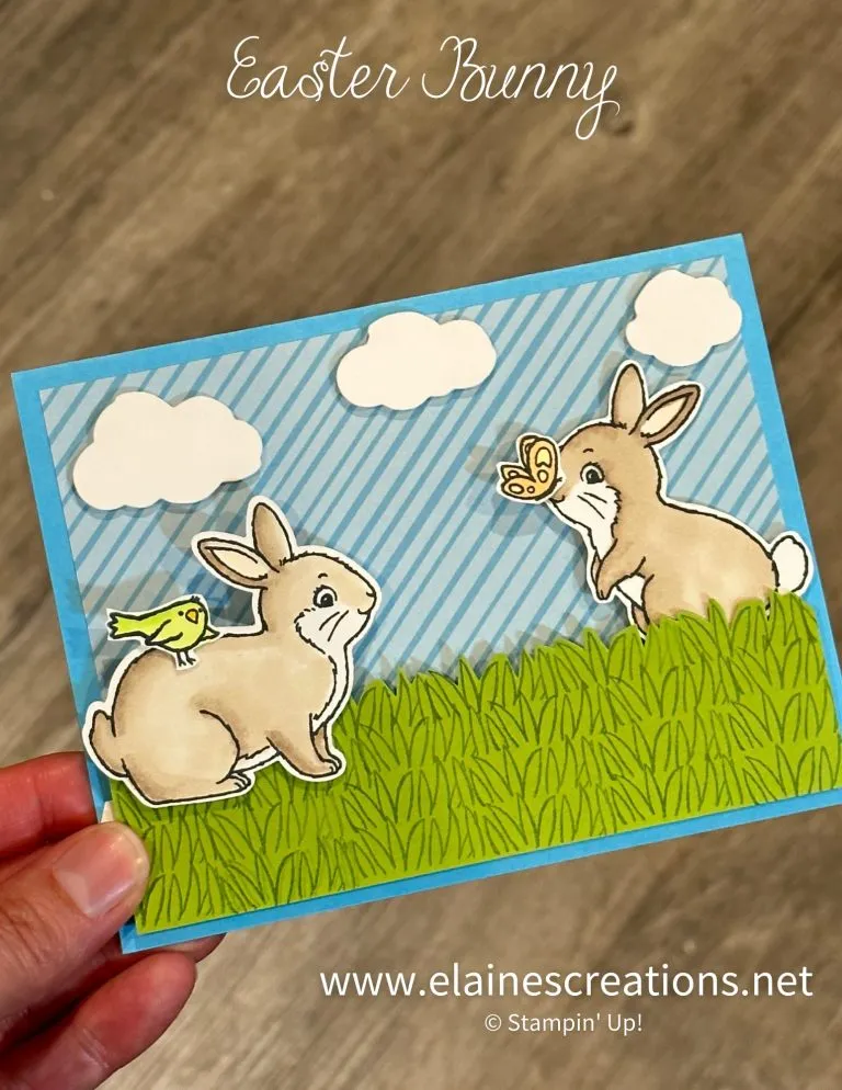 sliding bunny card