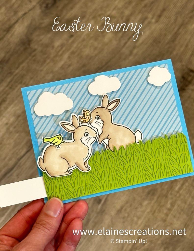 sliding bunny card