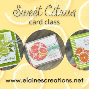 sweet citrus card class