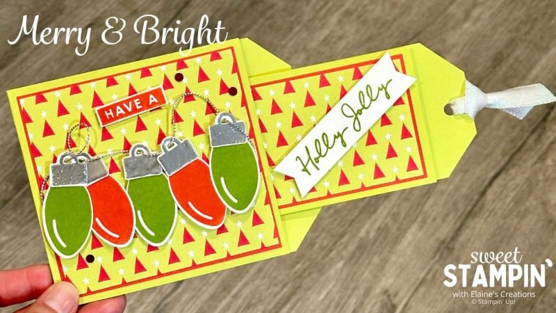 Pull & Pop Card | Sweet Stampin' | Elaine Schader | Independent Stampin ...