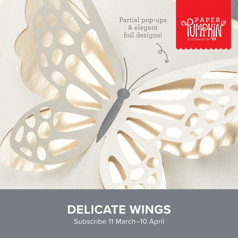 delicate wings