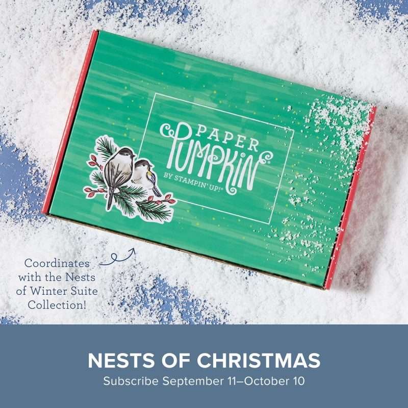 Nests of Christmas