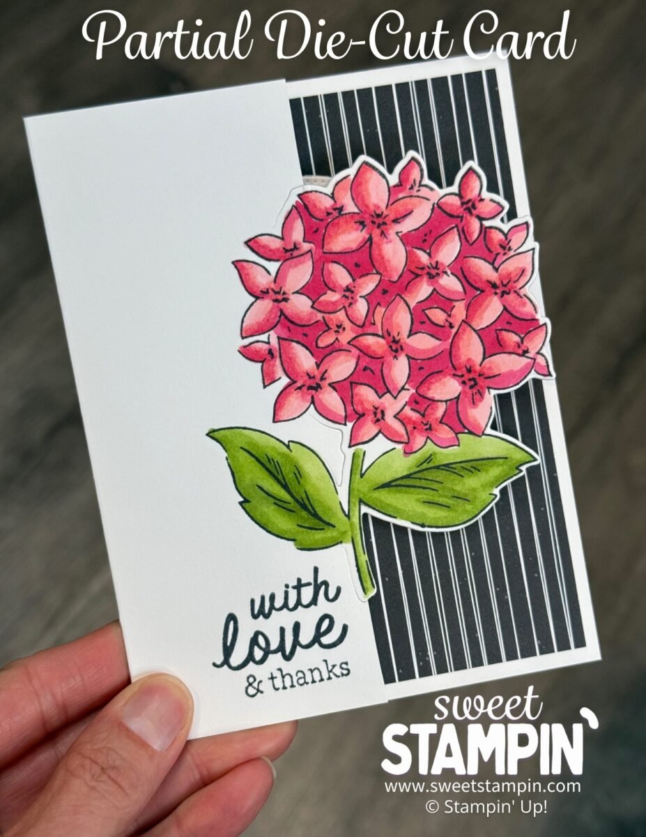 partial die-cutting