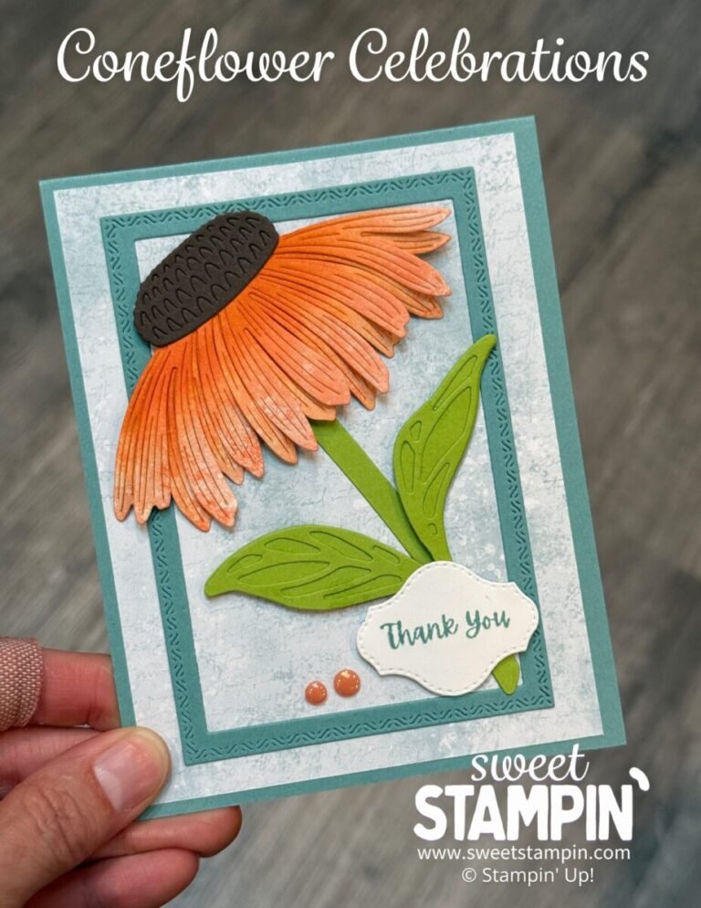 coneflower celebrations