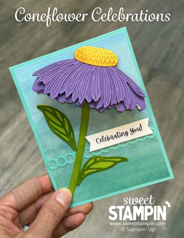 coneflower celebrations