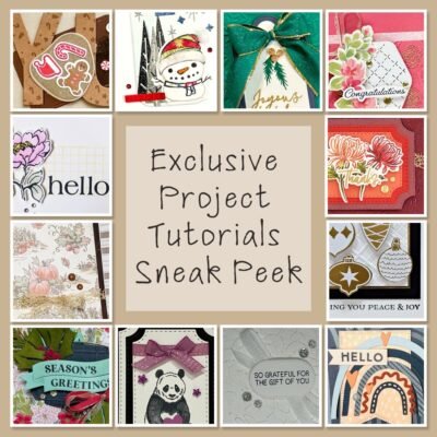 exclusive project tutorials