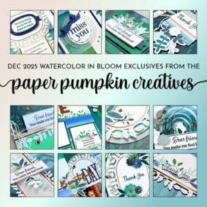 December 2025 Watercolor in Bloom