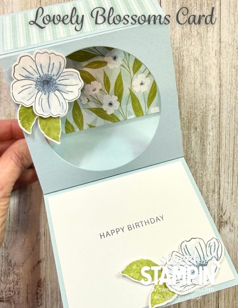 Shadow Box Fun Fold Card