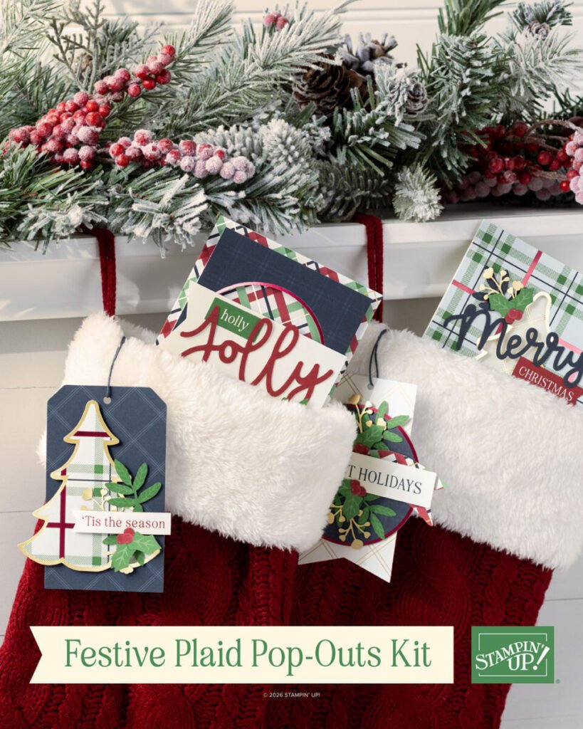 festive plaid pop-outs
